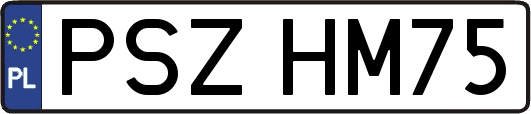 PSZHM75