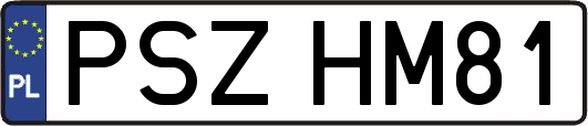PSZHM81