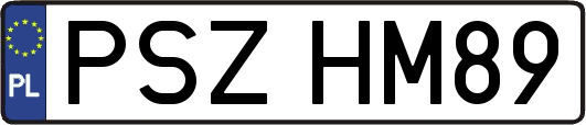 PSZHM89