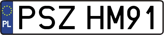 PSZHM91