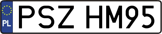 PSZHM95