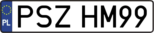 PSZHM99