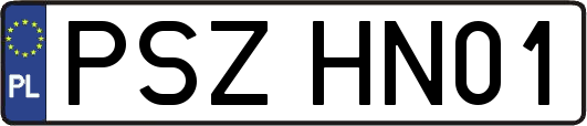 PSZHN01