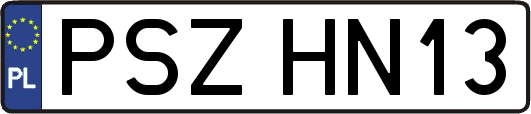 PSZHN13