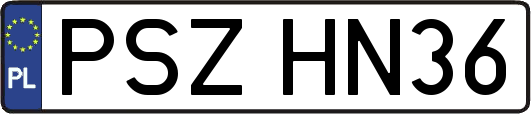 PSZHN36