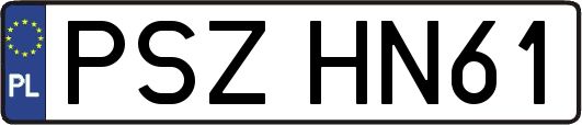 PSZHN61