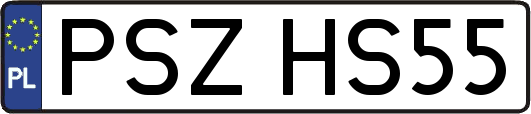PSZHS55