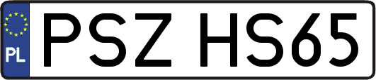 PSZHS65