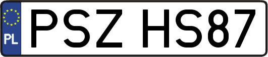 PSZHS87