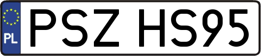 PSZHS95