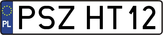PSZHT12