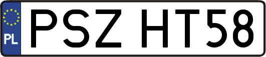 PSZHT58