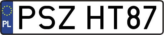 PSZHT87
