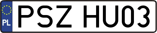 PSZHU03