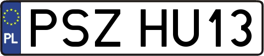 PSZHU13