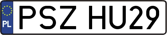 PSZHU29
