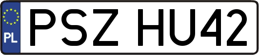 PSZHU42