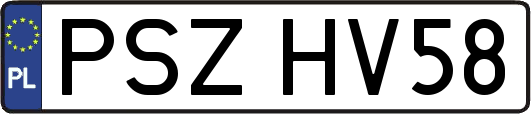 PSZHV58