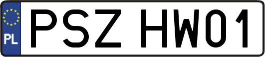 PSZHW01