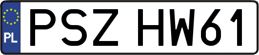 PSZHW61