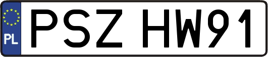PSZHW91