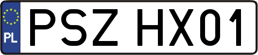 PSZHX01