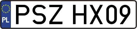PSZHX09
