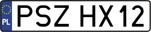 PSZHX12