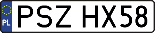 PSZHX58