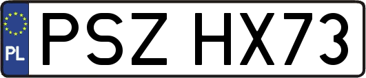 PSZHX73