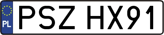 PSZHX91