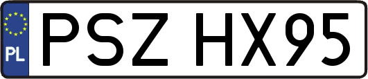 PSZHX95