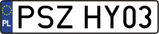 PSZHY03
