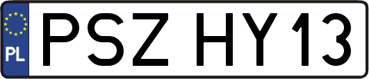 PSZHY13
