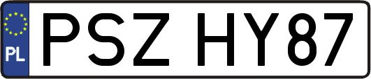 PSZHY87