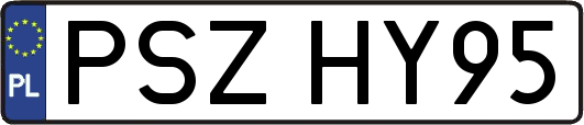 PSZHY95