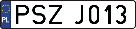 PSZJ013