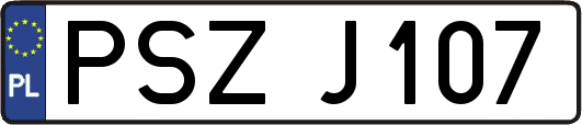 PSZJ107