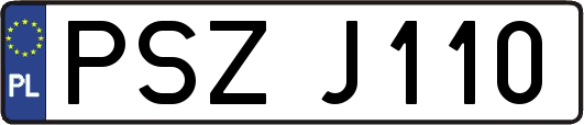PSZJ110