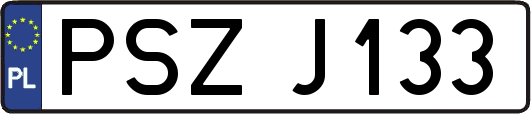 PSZJ133