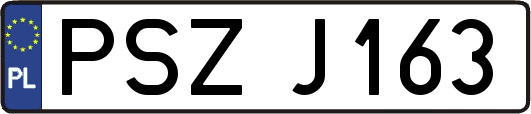 PSZJ163