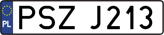 PSZJ213