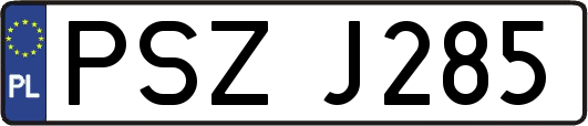 PSZJ285