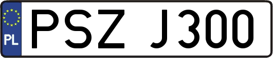 PSZJ300