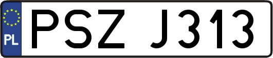 PSZJ313