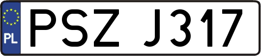 PSZJ317