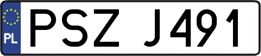 PSZJ491