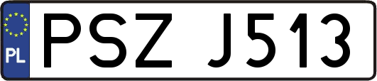 PSZJ513