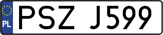 PSZJ599
