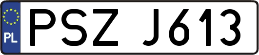 PSZJ613